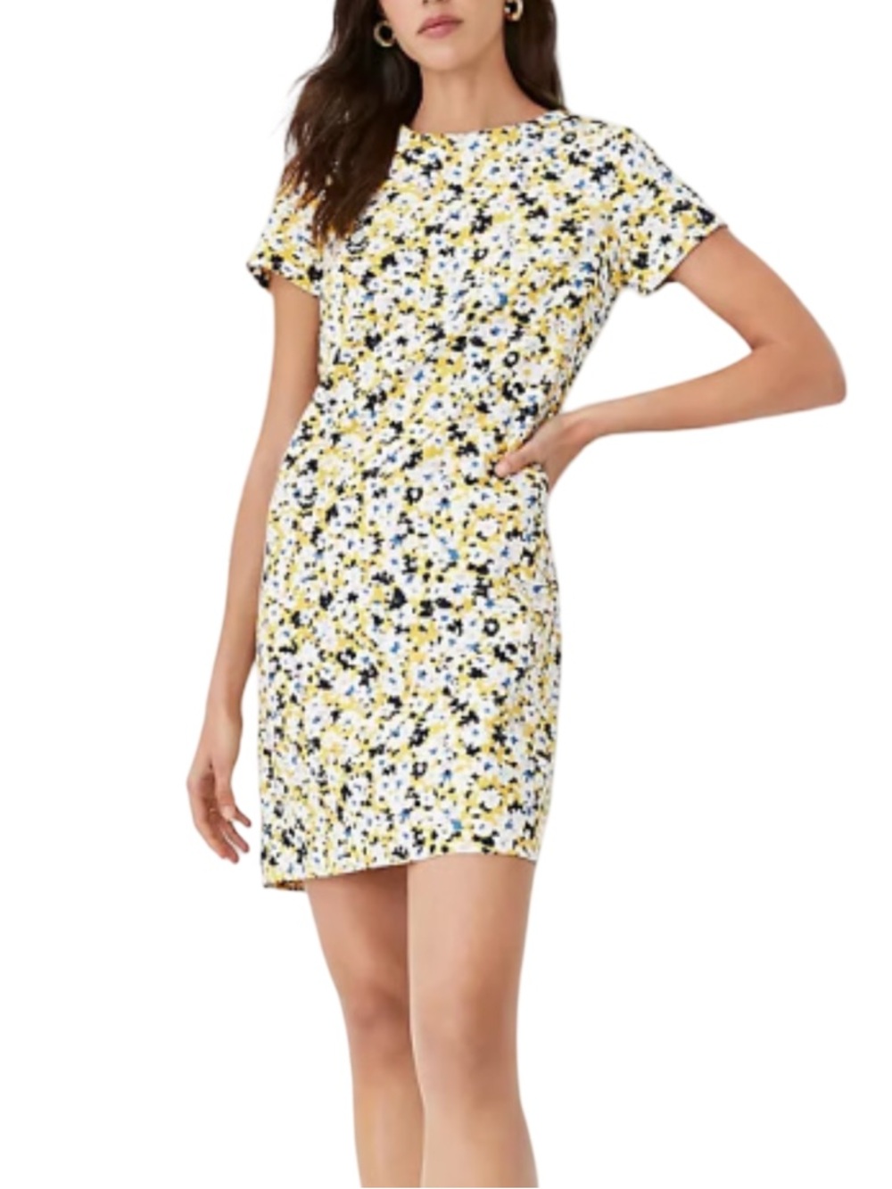 Ann Taylor Floral Short Sleeve Shift Dress 8 New Yellow White Blue Black Mauve